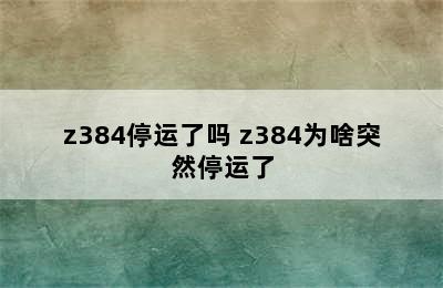 z384停运了吗 z384为啥突然停运了